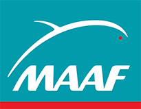 Logo Maaf
