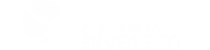 Logo Silver Eco