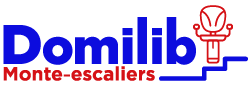 Logo Domilib 250 px